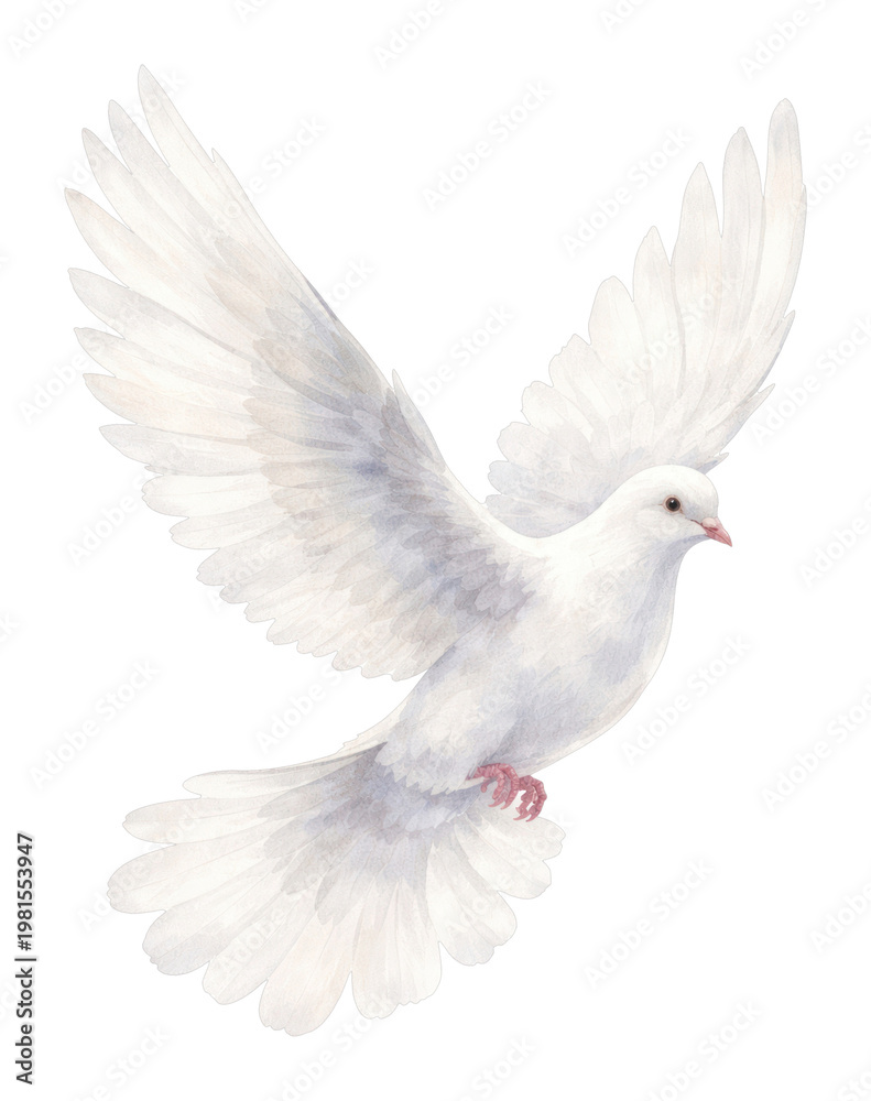 Fototapeta premium PNG Graceful watercolor dove illustration