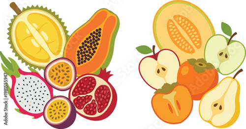 Tropical Fruit Composition with Papaya, Pomegranate, Passion Fruit, Dragon Fruit, Durian, Apple, Pear, Melon, and Persimmon in Flat Vector Illustration Style