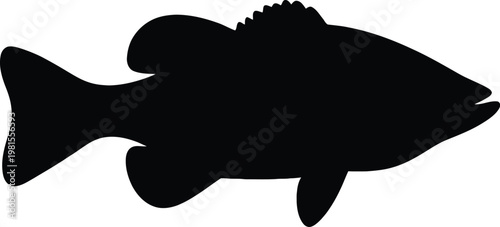 Black silhouette of a bass fish isolated on a white background for fishing sports and wildlife design projects