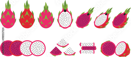 Vector Collection of Vibrant Dragon Fruits with Whole, Sliced, and Cut Pieces for Healthy Food, Tropical Fruits, and Summer Illustrations