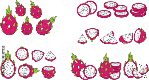 Vector Collection of Dragon Fruits with Whole, Sliced, and Cut Pieces for Healthy Food, Tropical Fruits, and Summer Illustrations