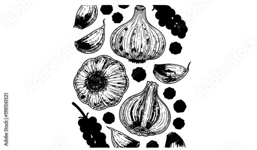 Vintage botanical garlic illustration set with cloves and peppercorn outline vector isolated on white background
