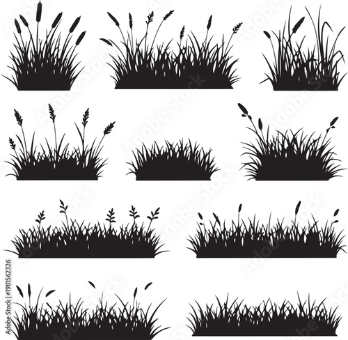 Set of black silhouettes of grass and reeds