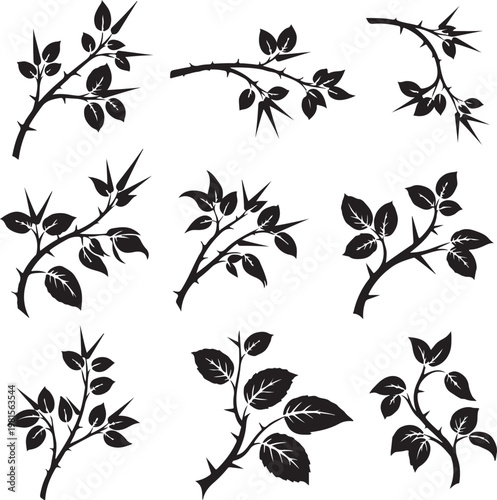Set of black silhouettes of rose branches with thorns and leaves
