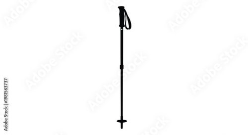 A single ski pole stands isolated against a white background silhouette