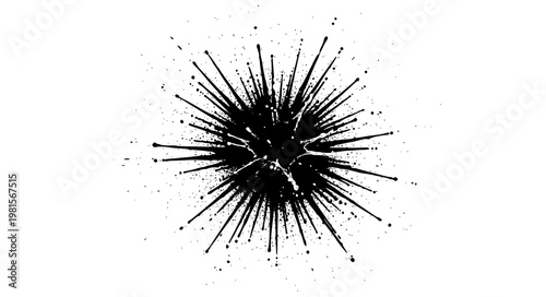 Paint Burst Vector – Central Splash Explosion Design