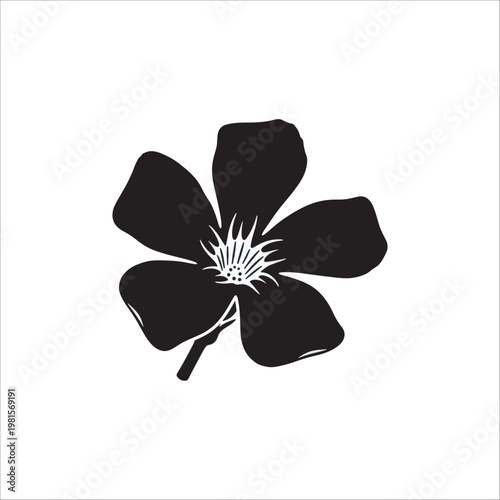 four leaf clover isolated on black