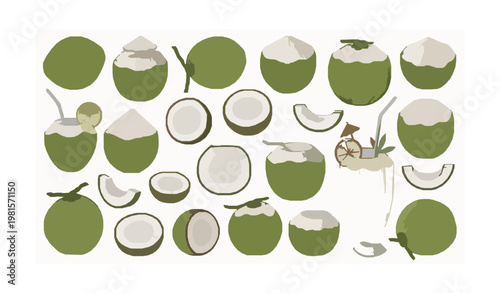 Hand drawn green coconut set with whole sliced and tropical drink coconuts isolated on white background botanical vector collection