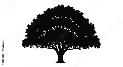 A striking silhouette of a large mature tree against a white background