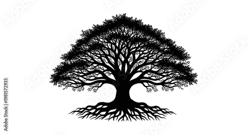 Silhouette of a large ancient tree with sprawling roots and dense canopy, isolated on white background.