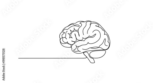Minimalist Line Art of Human Brain, Symbolizing Thought, Ideas, and Intelligence