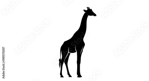 Black Silhouette of a Giraffe Standing on White Background