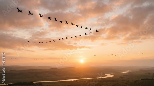 Migrating geese flying in V formation over a river at sunset.
