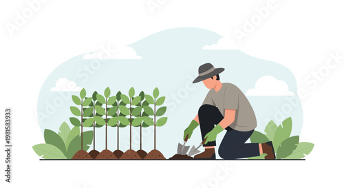 Gardener planting seedlings in a garden, illustration