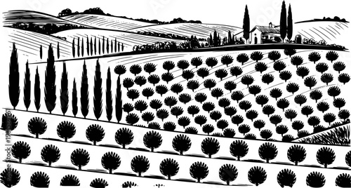 Black and white of tuscan landscape with cypress trees, vineyard, and farmhouse tuscany