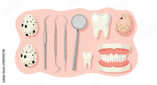 A collection of professional dental tools and realistic tooth models is displayed alongside speckled quail eggs on a soft pink organic shape over white.