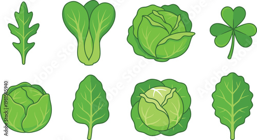 Green leafy vegetable vector icon set including lettuce, cabbage, spinach and clover leaves for organic food, healthy diet and nature design elements