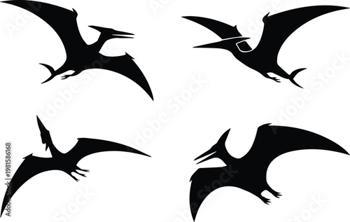 Pterosaur silhouettes in flight
