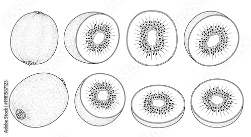 Black and white line art illustrations of whole and sliced kiwi fruits showing internal seeds and textures on a white background.