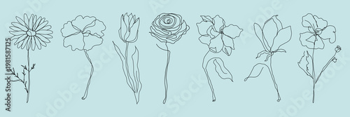 Minimalist line art of flowers. Simple line art of flowers in various styles. Elegant flower line art, showcasing diverse floral designs. Doodle illustrations, vector set.