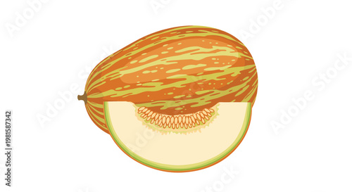Illustration of a whole striped melon and a fresh slice displaying numerous seeds and light green flesh for seasonal food and fruit themes.