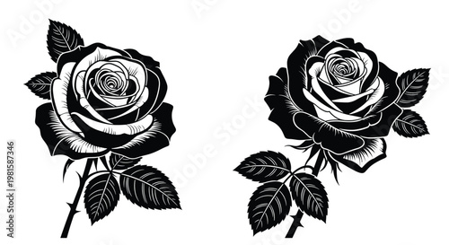 Pair of highly detailed rose illustrations in black and white featuring complex petal layers leaves and thorns for classic floral design work.