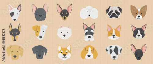 Illustrated dog faces, featuring various breeds like bulldogs, terriers, and poodles. Cute dog faces, cartoon style, diverse dog breeds, playful expressions. Cute pets, vector illustration set.