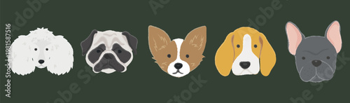Illustration of five dog faces: poodle, bulldog, corgi, beagle, and French bulldog. Cute dog faces on a green background. Cartoon dog faces in a row. Cute pets, vector illustration set.