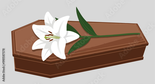 A white lily flower resting on a brown wooden coffin on a plain grey background