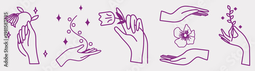 Illustrations of hands holding flowers and leaves. Hands, flowers, and leaves in a minimalist style. Graceful hands with natures, flowers, and leaves. Aesthetic spirituality vector illustration set.
