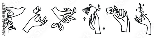 Minimalist line art of hands holding flowers and leaves. Elegant hands, delicate flowers, and leaves create an artistic vibe. Simple, artistic design. Aesthetic spirituality vector illustration set.