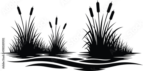 Reeds Grass Water Silhouette Vector Wetland Nature Minimal Background Illustration
