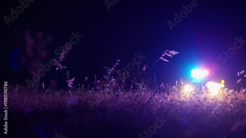 Police car with emergency lights flashing in the background while camera focuses on foreground grass and wildflowers. The vehicle remains in soft defocus creating dramatic nighttime scene