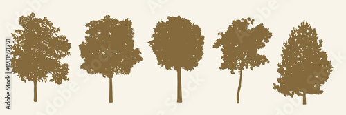 Silhouettes of five different tree shapes in green on a light background. Tree silhouettes vary in size and form, showcasing diverse tree shapes and foliage. Nature illustrations, isolated vector set.