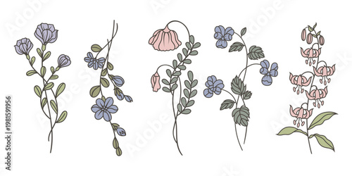 Illustration of five delicate floral designs with pastel colors. Each flower features unique shapes and soft hues, creating a whimsical botanical theme. Spring flower illustrations, isolated vectors.