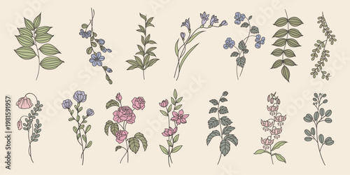 Tablou pe pânză Illustration of various floral designs with leaves and flowers