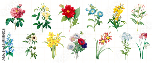 A collection of colorful floral illustrations featuring various flowers like roses, daisies, and lilies. Each flower is uniquely detailed and vibrant. Spring flower illustrations, isolated vector set.