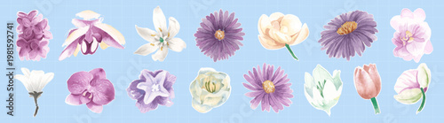 A collection of watercolor flowers on a blue background. Includes orchids, daisies, and tulips. Soft pastel colors enhance the floral watercolor theme. Spring flower illustrations, isolated vectors.