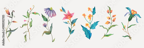 Watercolor illustration of various colorful flowers. Delicate floral designs with vibrant petals and green leaves. Artistic flower arrangement in watercolor. Watercolor element vector set.