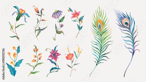 Colorful watercolor flowers and peacock feathers. Vibrant floral designs with delicate petals. Artistic floral and feather illustrations in watercolor style. Easter illustrations, isolated vector set.