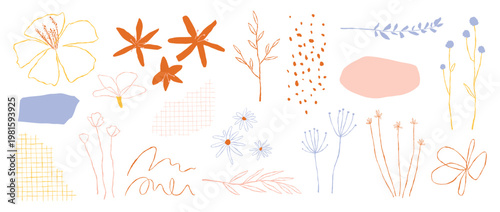 Abstract floral illustrations with various flowers, leaves, and plants. Delicate floral patterns, floral sketches, and floral designs in soft colors. Floral line art vector set.