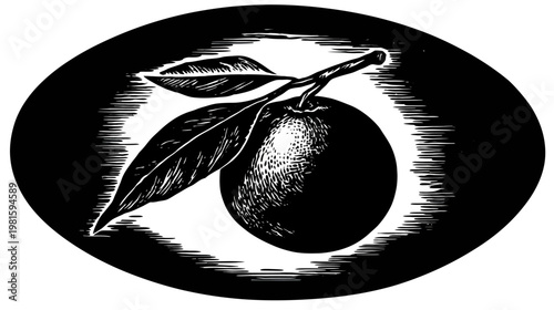 Black and white illustration of an orange with leaves inside an oval frame