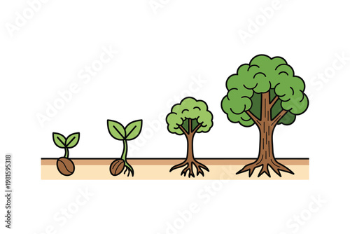 Tree growth icon illustrating stages of development from seed to mature tree