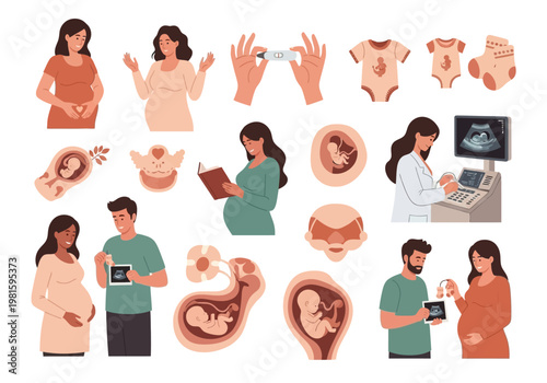 Pregnancy and Maternity Illustration Set featuring Pregnant Women, Ultrasound Medical Checkup, Fetal Development Stages, and Expectant Couples in Flat Vector Style