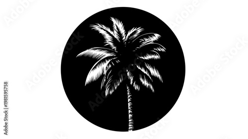 Silhouette of a palm tree in a black circle on a white background