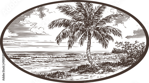 Detailed etching of a tropical beach scene featuring a palm tree, ocean, and foliage
