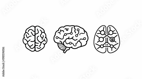 A white background with three black outline illustrations of brains, showing different perspectives