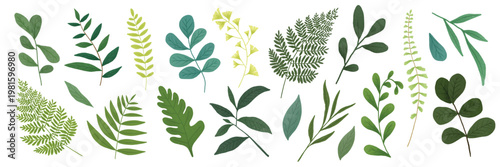 Various green leaves, different shapes, and sizes. Green leaves, botanical elements, nature. Leaves collection, diverse green foliage, plant leaves. Botanical illustrations vector set.