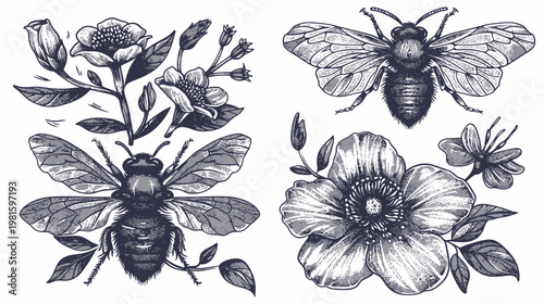 Black and white illustration featuring bees and floral elements flowers and leaves