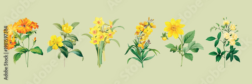 Illustration of six yellow and orange flowers with green leaves on a light green background. Botanical art showcasing vibrant flowers and detailed leaves. Floral illustrations, isolated vector set.